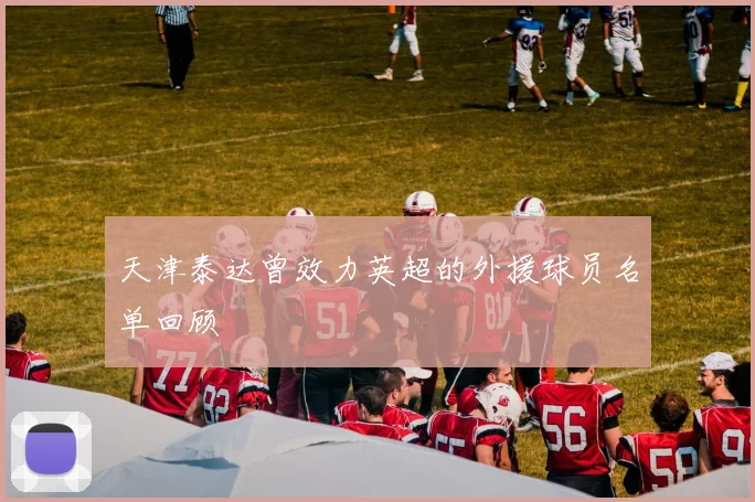 天津泰达曾效力英超的外援球员名单回顾