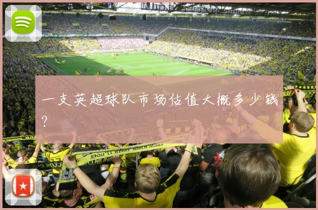 一支英超球队市场估值大概多少钱？
