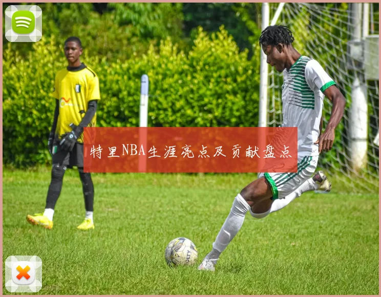 特里NBA生涯亮点及贡献盘点